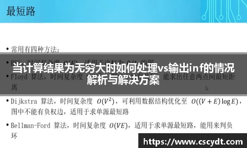 当计算结果为无穷大时如何处理vs输出inf的情况解析与解决方案